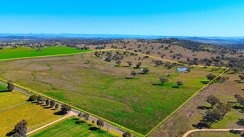 723 Borah Creek Road, Quirindi NSW 2343