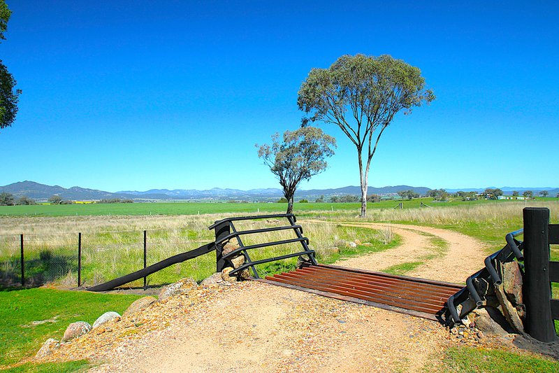 Photo - 723 Borah Creek Road, Quirindi NSW 2343 - Image 4