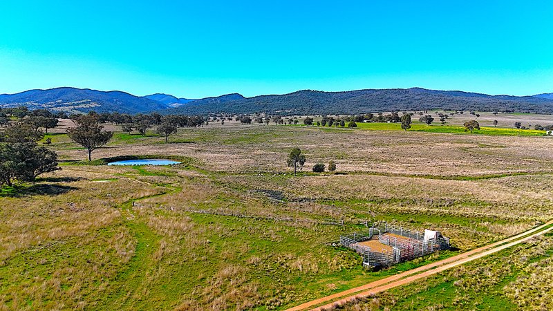 Photo - 723 Borah Creek Road, Quirindi NSW 2343 - Image 5