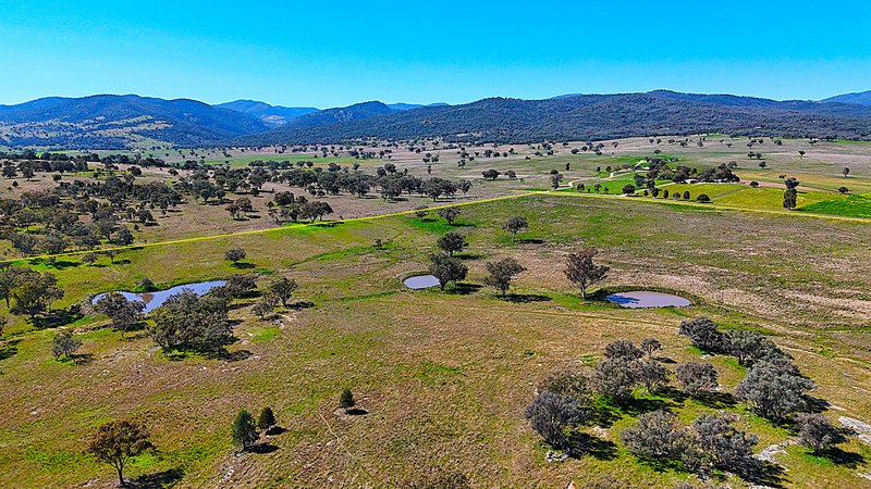 Photo - 723 Borah Creek Road, Quirindi NSW 2343 - Image 7