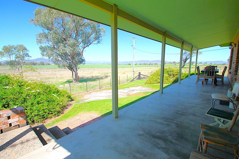 Photo - 723 Borah Creek Road, Quirindi NSW 2343 - Image 20