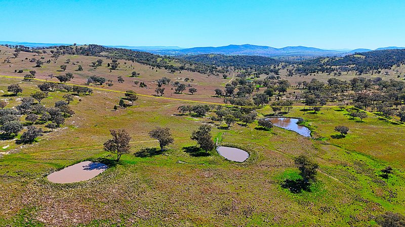 Photo - 723 Borah Creek Road, Quirindi NSW 2343 - Image 23