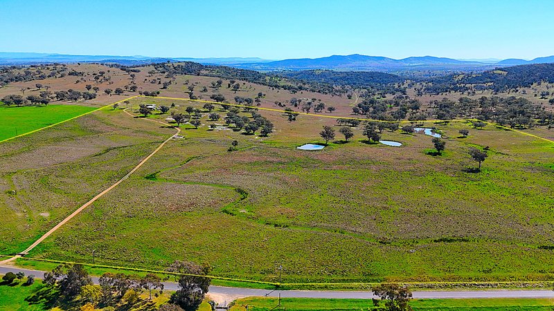 Photo - 723 Borah Creek Road, Quirindi NSW 2343 - Image 24