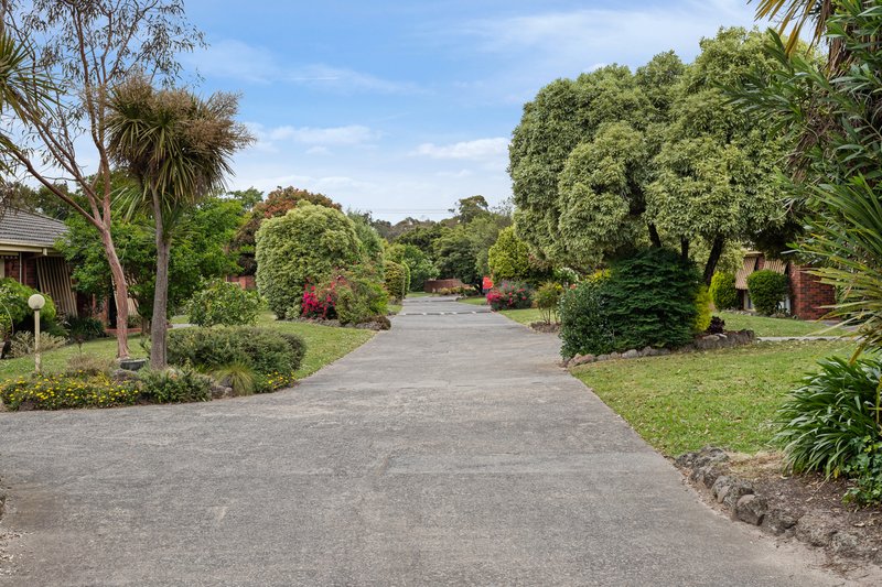 Photo - 7/29 Elmhurst Road, Bayswater North VIC 3153 - Image 7