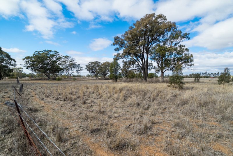 Photo - 72L Burraway Road, Dubbo NSW 2830 - Image 7