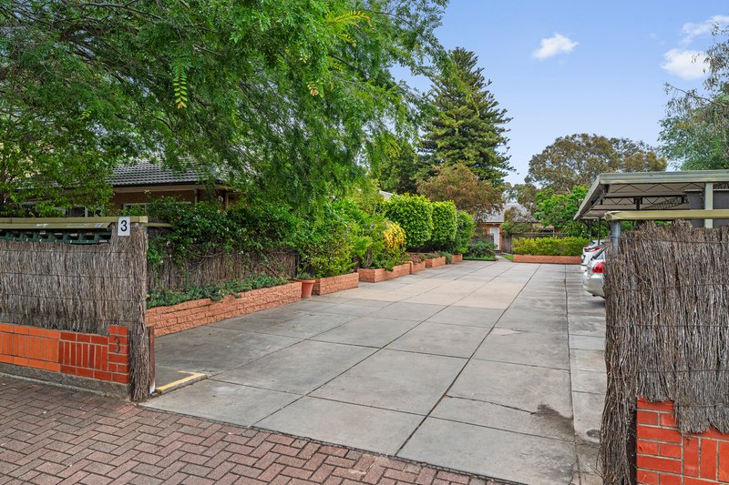 Photo - 7/3 Alfred Street, Norwood SA 5067 - Image 16