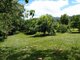 Photo - 73 Brodies Road, Mount Charlton QLD 4741 - Image 13