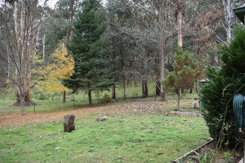 Photo - 73 Feathertop Track, Harrietville VIC 3741 - Image 15