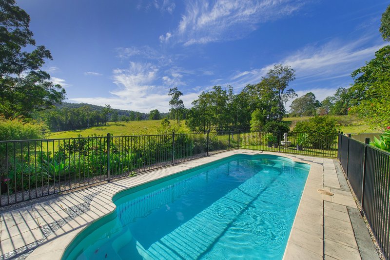 Photo - 73 Fishers Ridge, Beechwood NSW 2446 - Image 11