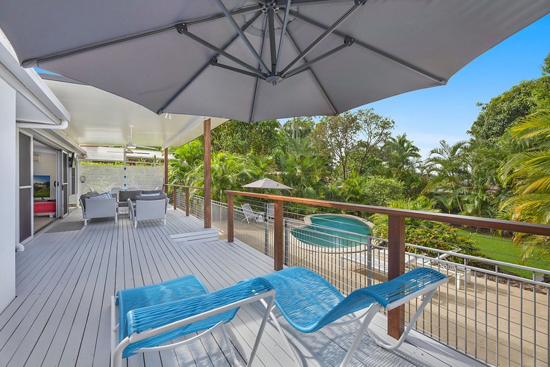 Photo - 73 Kerenjon Avenue, Buderim QLD 4556 - Image 3