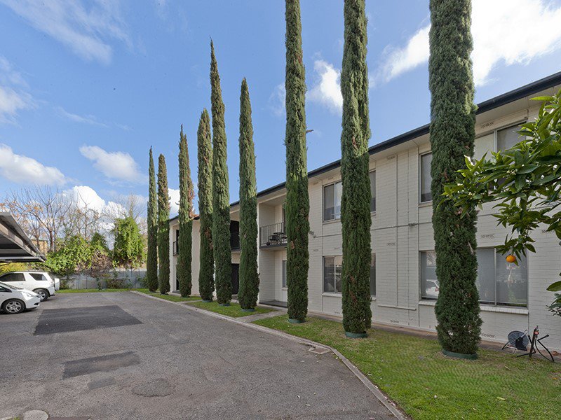 Photo - 7/3 Macklin Street, Parkside SA 5063 - Image 2