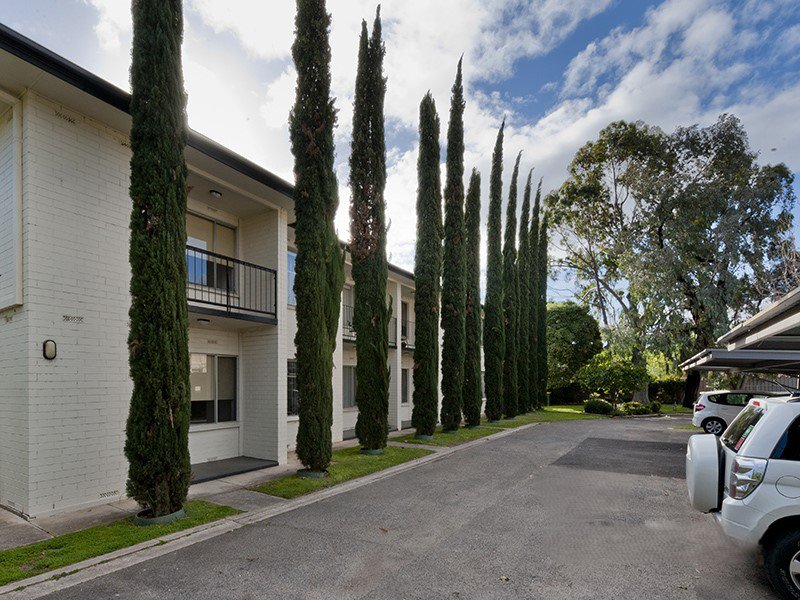 Photo - 7/3 Macklin Street, Parkside SA 5063 - Image 15