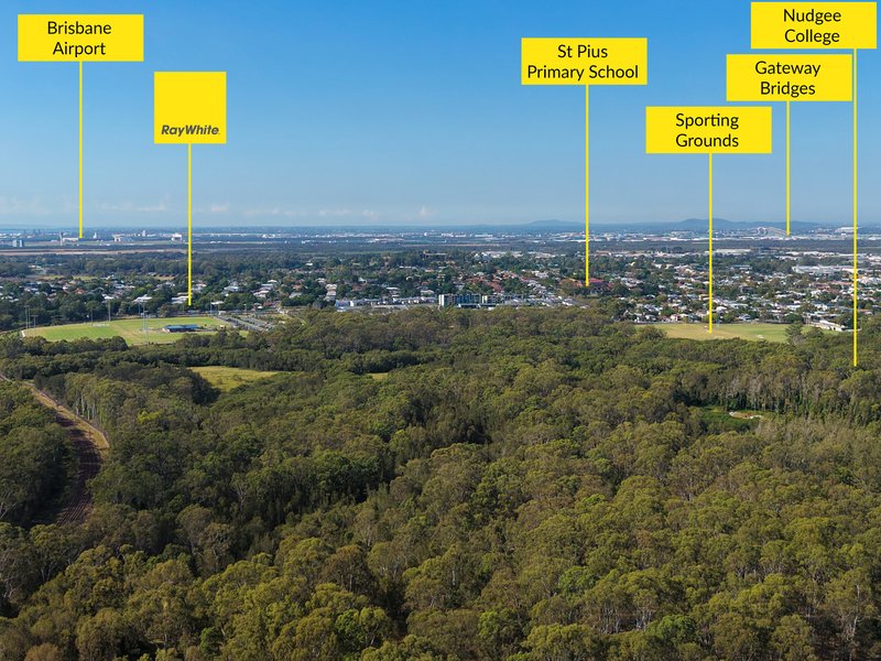 Photo - 73 Oakmere Street, Nudgee QLD 4014 - Image 5