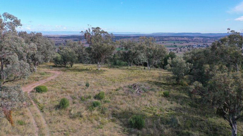 73 Ray Carter Drive, Quirindi NSW 2343