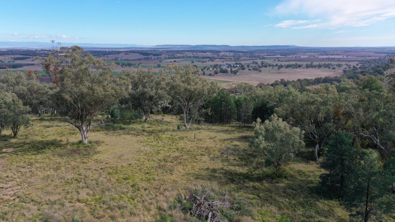 Photo - 73 Ray Carter Drive, Quirindi NSW 2343 - Image 5