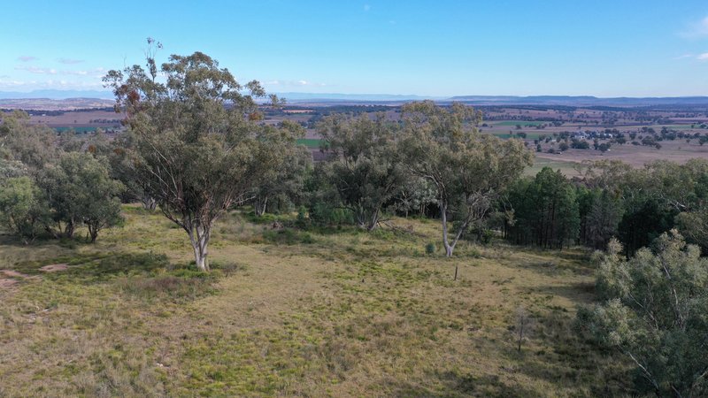 Photo - 73 Ray Carter Drive, Quirindi NSW 2343 - Image 8