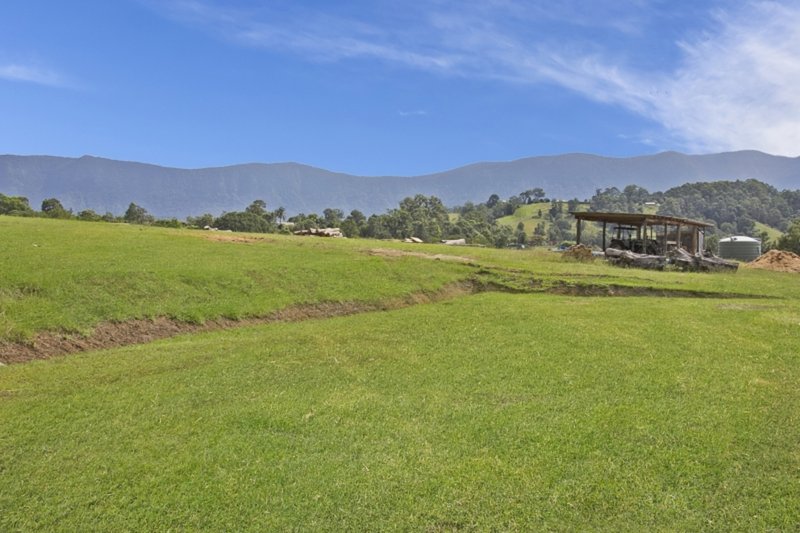 Photo - 73 Turpentine Place, Tyalgum NSW 2484 - Image 3