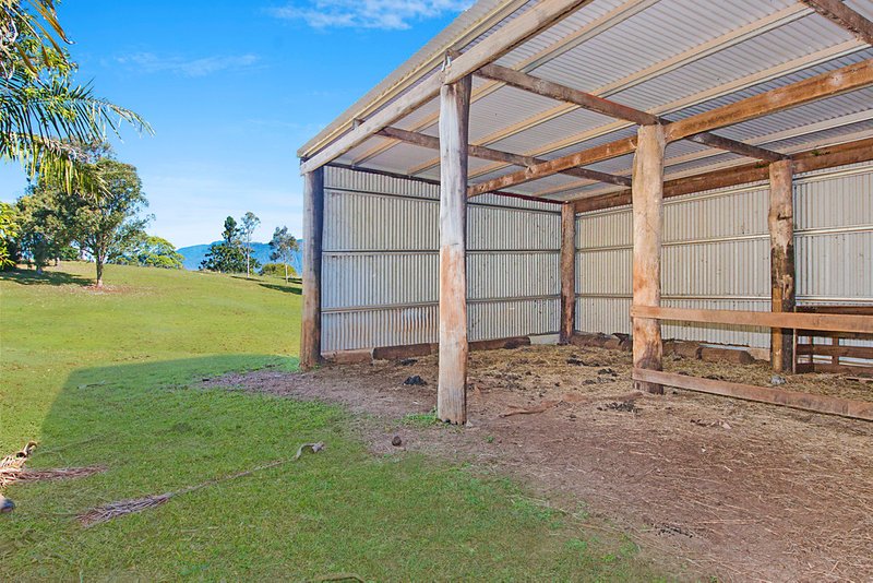 Photo - 73 Yellowood Road, Tyalgum NSW 2484 - Image 9