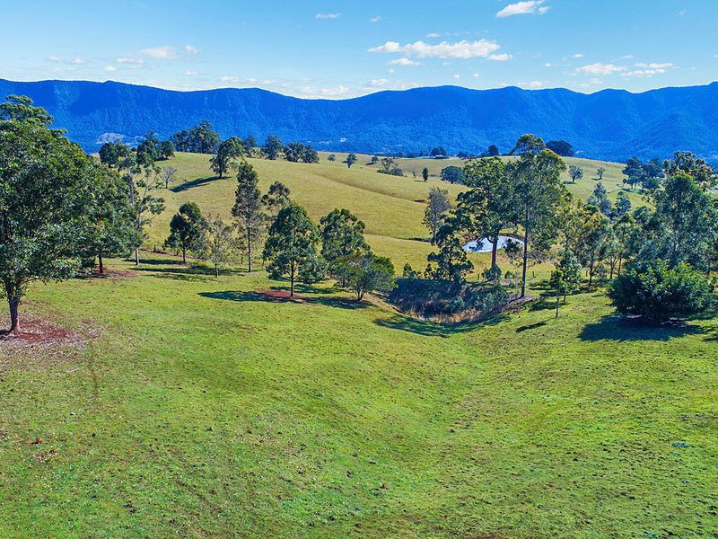 Photo - 73 Yellowood Road, Tyalgum NSW 2484 - Image 10