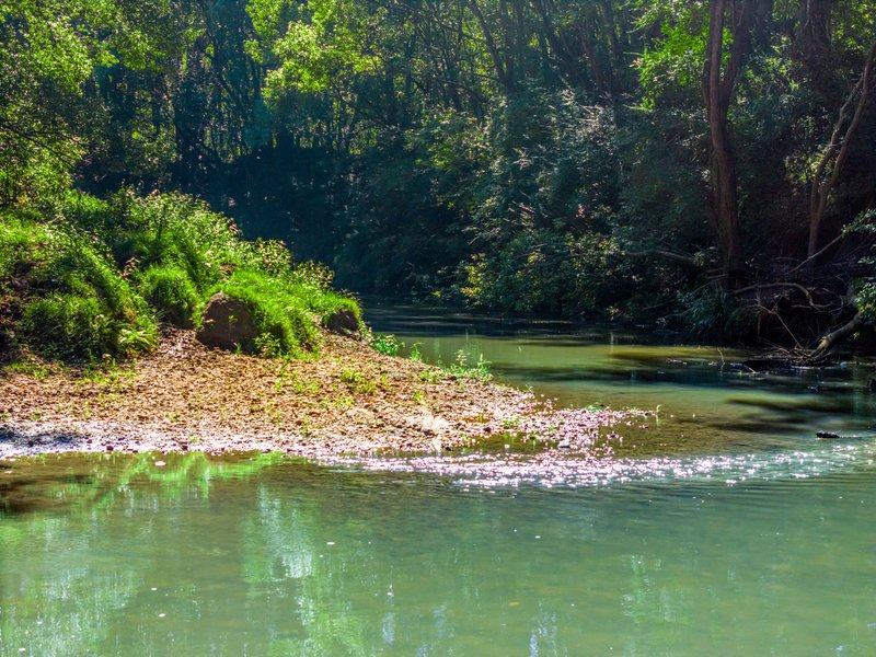 Photo - 730 Lismore Road, Nashua NSW 2479 - Image 2