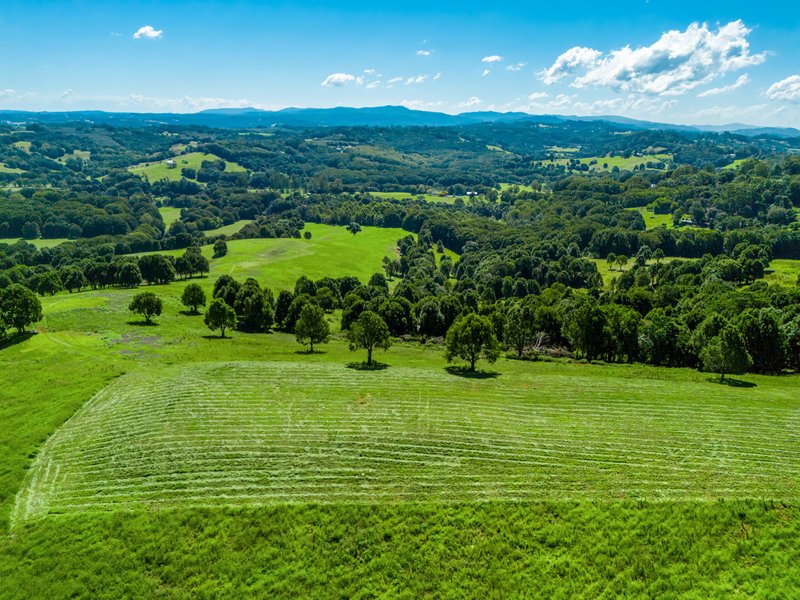 Photo - 730 Lismore Road, Nashua NSW 2479 - Image 3