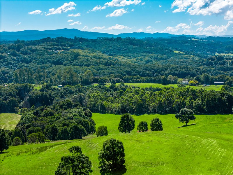 Photo - 730 Lismore Road, Nashua NSW 2479 - Image 6