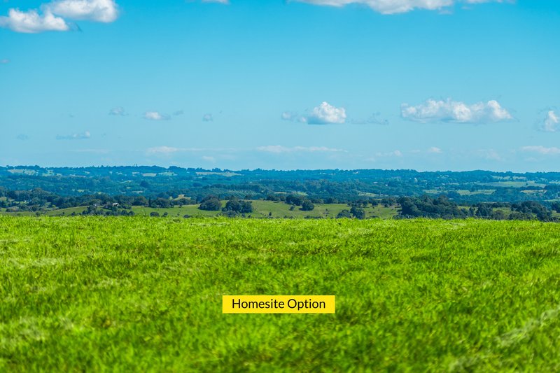 Photo - 730 Lismore Road, Nashua NSW 2479 - Image 10