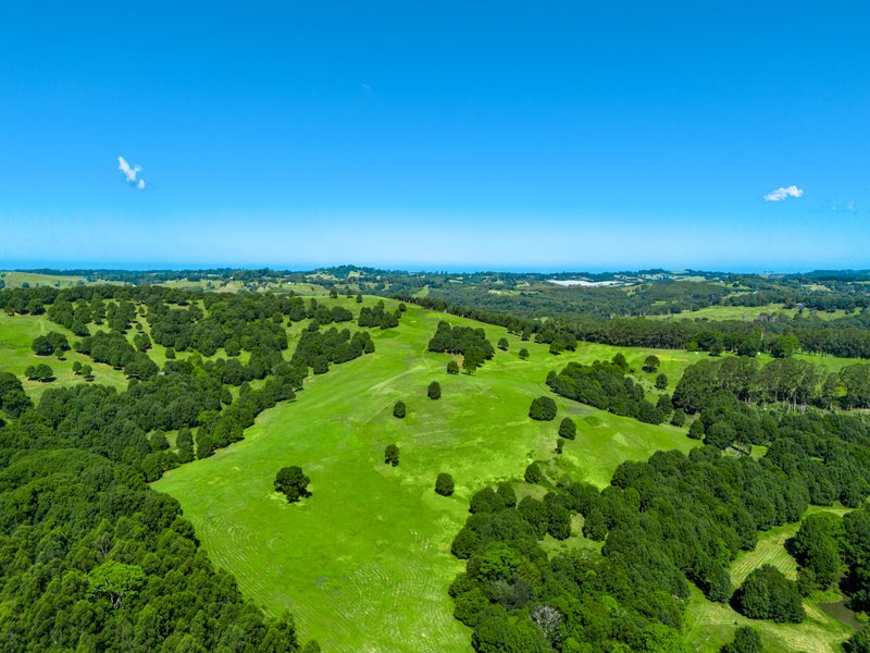 Photo - 730 Lismore Road, Nashua NSW 2479 - Image 11