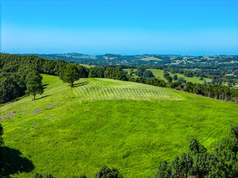 Photo - 730 Lismore Road, Nashua NSW 2479 - Image 19