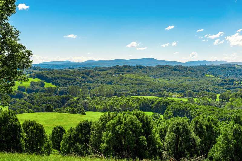 Photo - 730 Lismore Road, Nashua NSW 2479 - Image 21