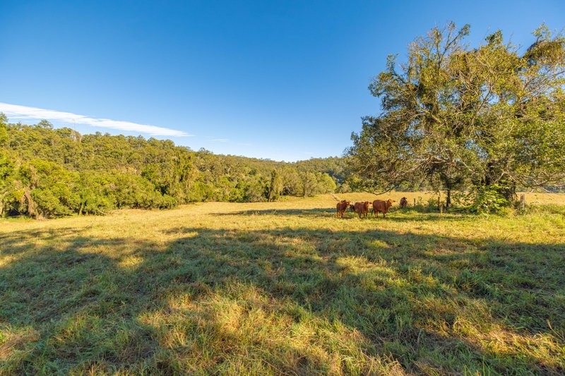 Photo - 731 Fishermans Pocket Road, Fishermans Pocket QLD 4570 - Image 35