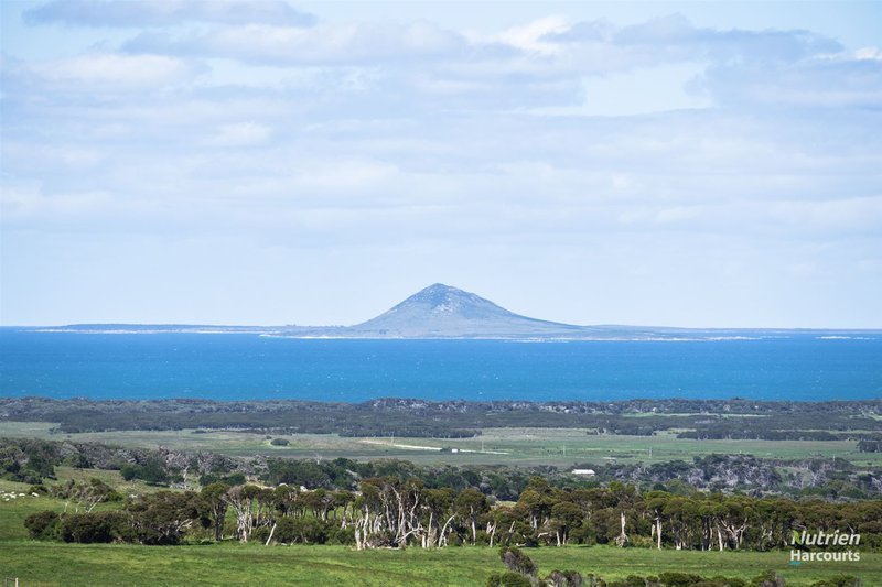 Photo - 731 Lady Barron Road, Ranga TAS 7255 - Image 6