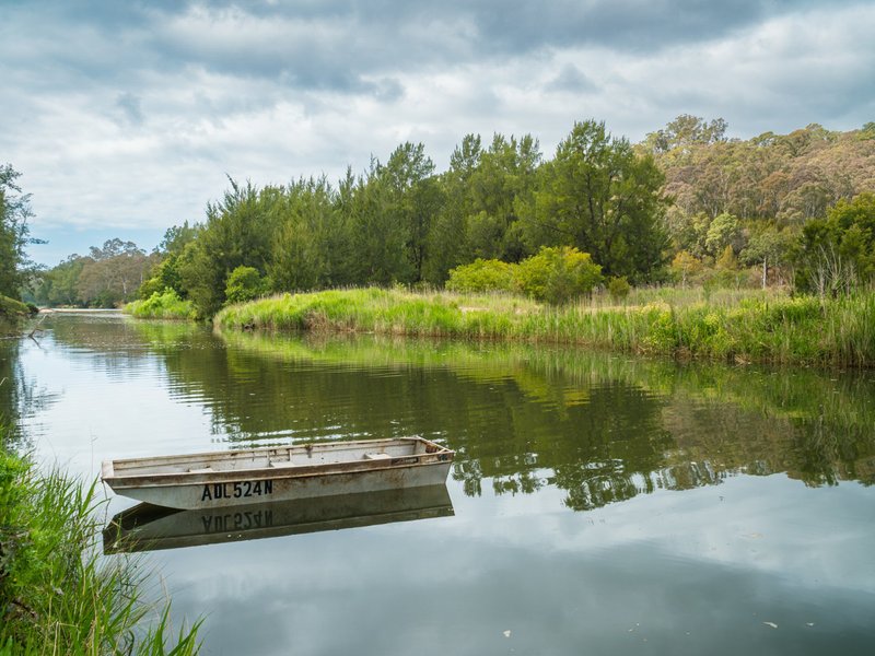 Photo - 732 Reedy Swamp Road, Bega NSW 2550 - Image 15