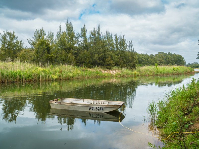 Photo - 732 Reedy Swamp Road, Bega NSW 2550 - Image 20