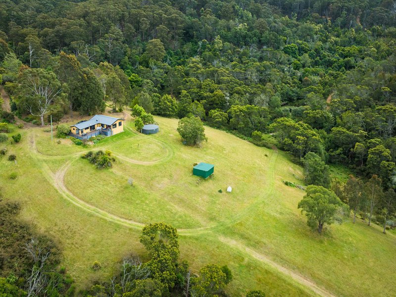 Photo - 732 Reedy Swamp Road, Bega NSW 2550 - Image 24