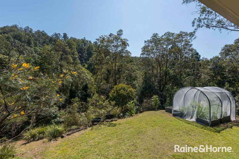 Photo - 7/321 Blackhorse Road, Eden Creek Via , Kyogle NSW 2474 - Image 14