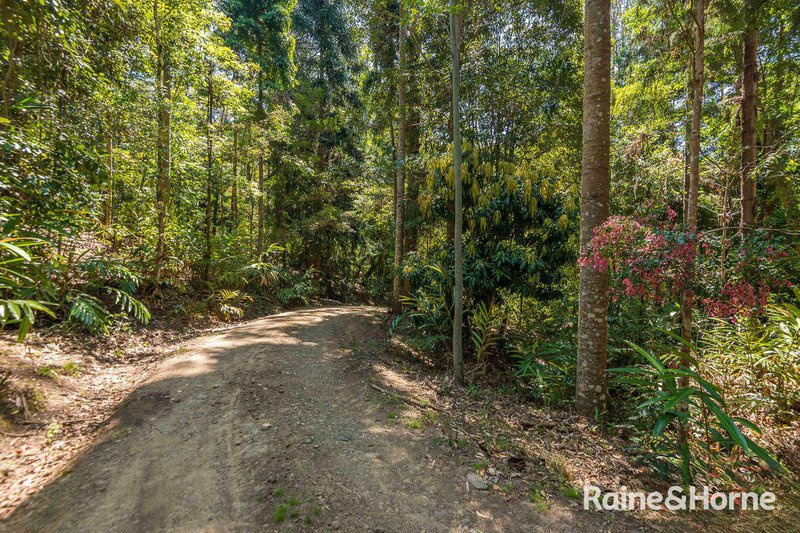 Photo - 7/321 Blackhorse Road, Eden Creek Via , Kyogle NSW 2474 - Image 15