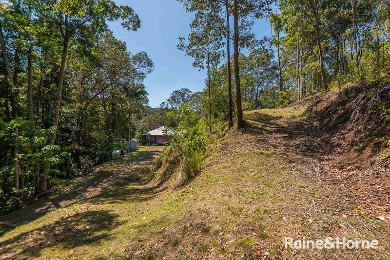 Photo - 7/321 Blackhorse Road, Eden Creek Via , Kyogle NSW 2474 - Image 16