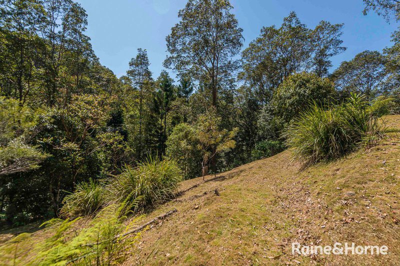 Photo - 7/321 Blackhorse Road, Eden Creek Via , Kyogle NSW 2474 - Image 19