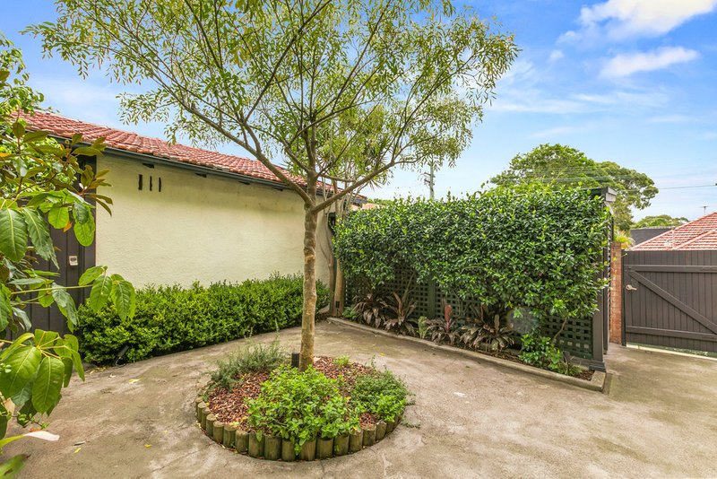 Photo - 7/33 Rosebery Street, Mosman NSW 2088 - Image 15