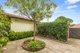 Photo - 7/33 Rosebery Street, Mosman NSW 2088 - Image 15