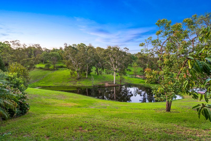 Photo - 734 Slopes Road, Kurrajong NSW 2758 - Image 15