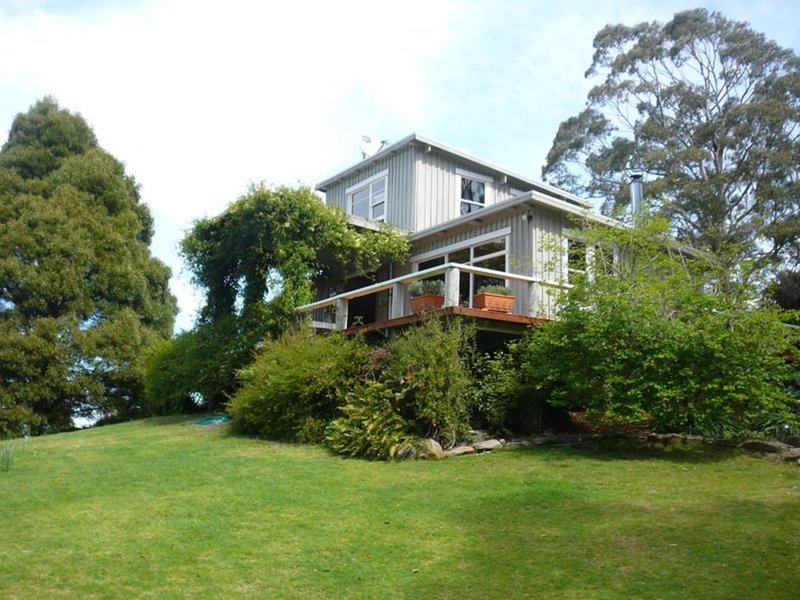 735 Elephant Pass Road, Gray TAS 7215