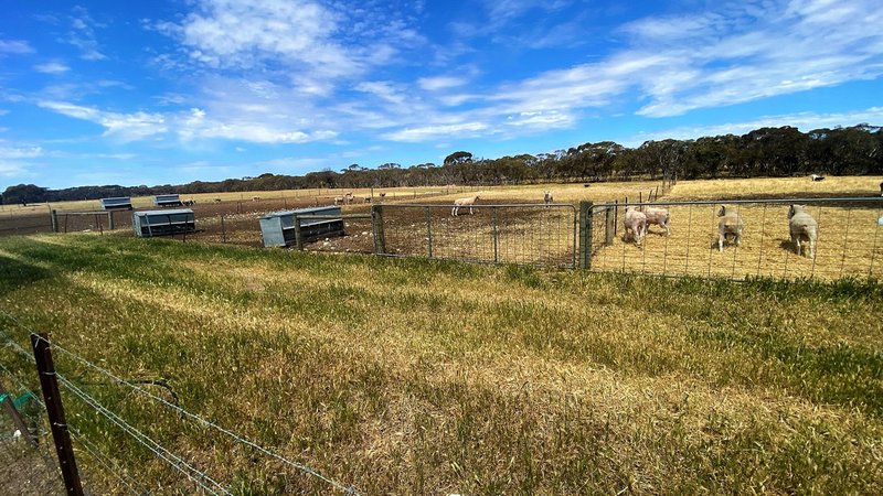 Photo - 737 Blackett Road, Parrakie SA 5301 - Image 9