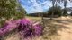 Photo - 737 Blackett Road, Parrakie SA 5301 - Image 17