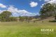 Photo - 737 Stanley Pocket Road, Crossdale QLD 4312 - Image 23