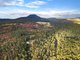 Photo - 7380 Esk Main Road, St Marys TAS 7215 - Image 30