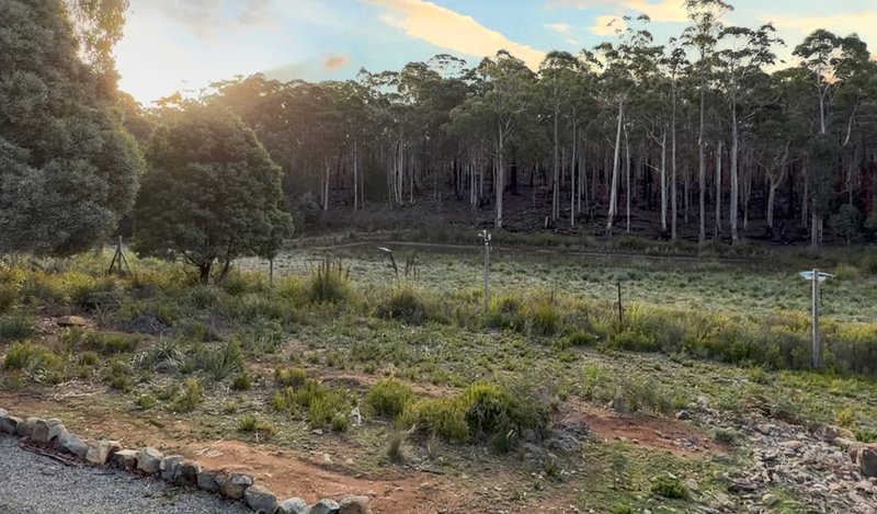 Photo - 7380 Esk Main Road, St Marys TAS 7215 - Image 32