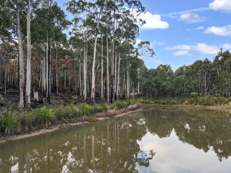 Photo - 7380 Esk Main Road, St Marys TAS 7215 - Image 34