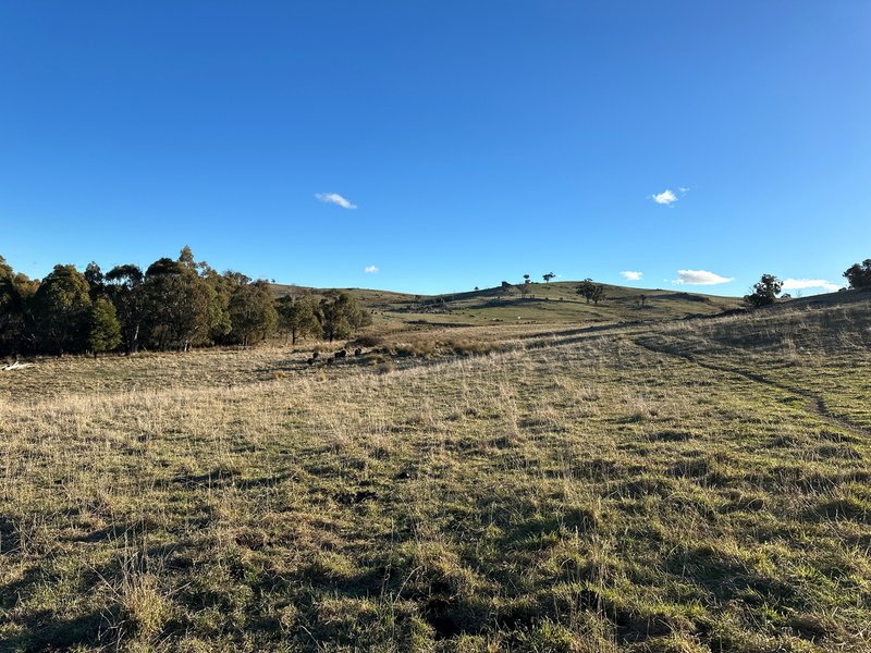 Photo - 739 Tooma Road, Tumbarumba NSW 2653 - Image 6